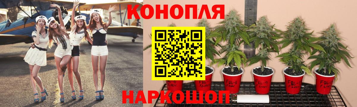 Каннабис THC 21% Семёнов